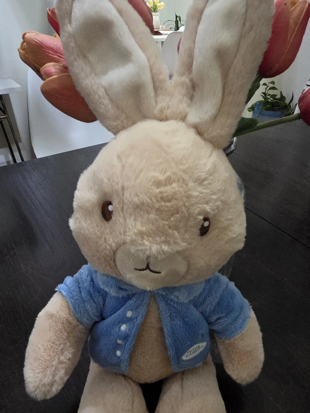 Kids Preferred Beatrix Potter Peter Rabbit stuffed animal